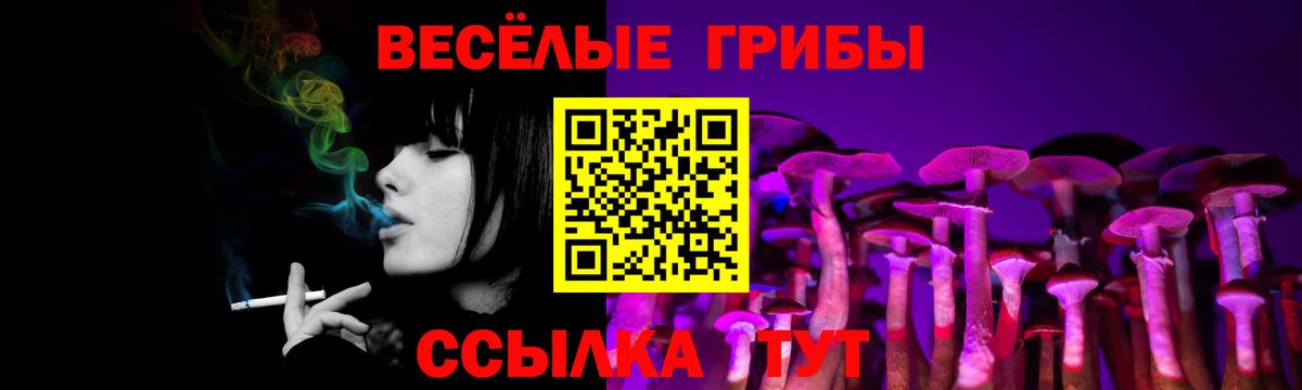 Галлюциногенные грибы Psilocybine cubensis Тольятти